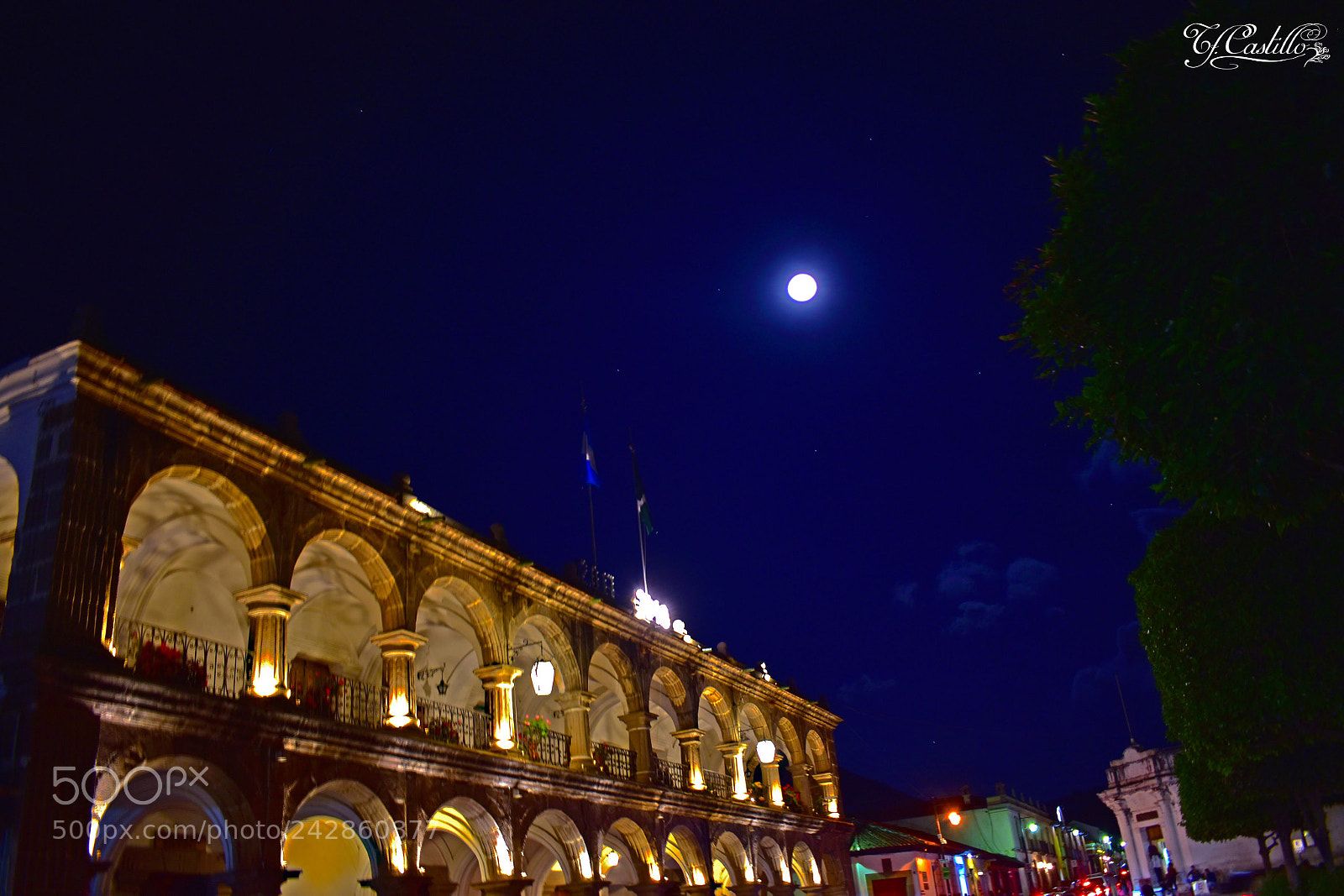 Nikon D5600 sample photo. Super moon photography