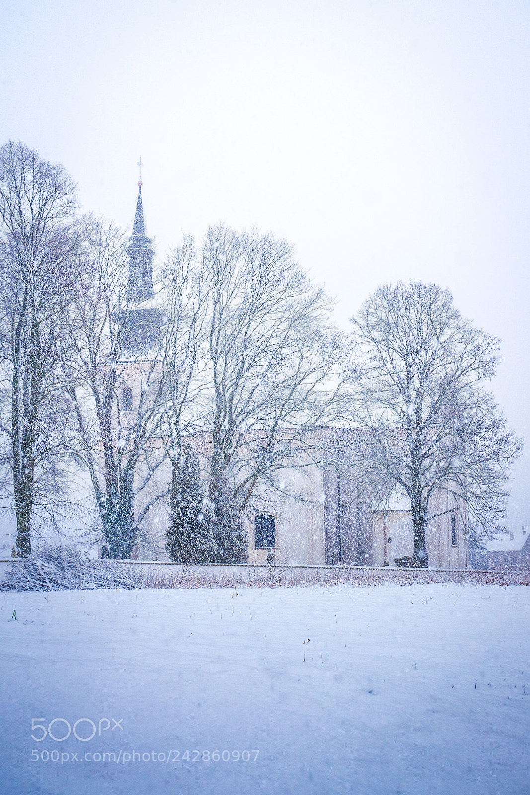Sony ILCA-77M2 sample photo. Winter on the highland photography