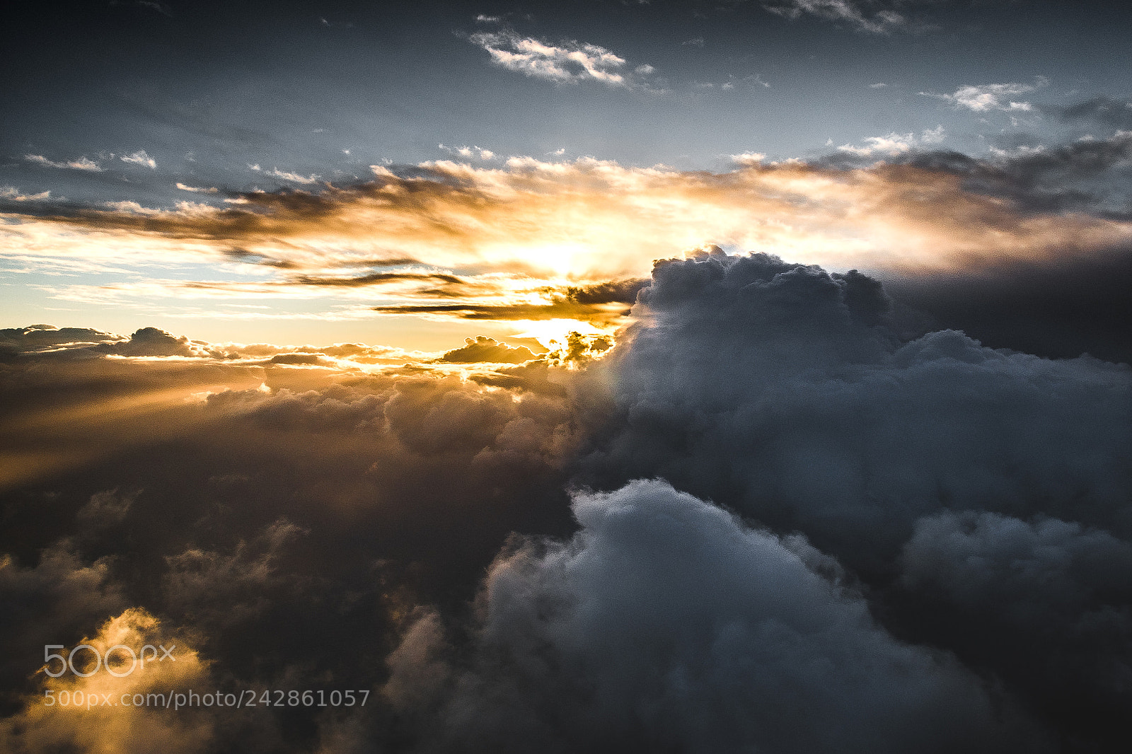 Nikon D5600 sample photo. Eleanor in the sky photography