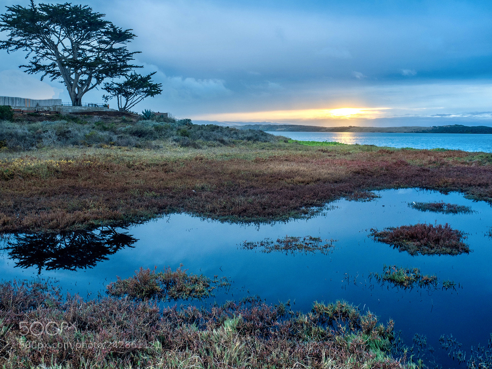 Olympus OM-D E-M5 II sample photo. Sunset in los osos. photography