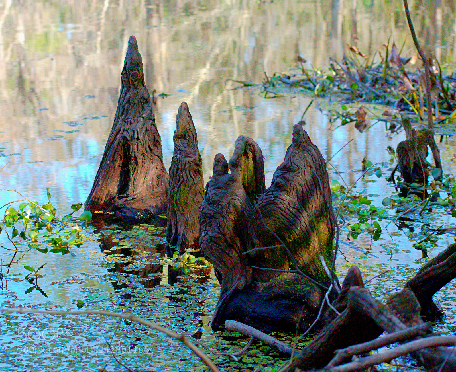 Nikon D3400 sample photo. Dsc photography