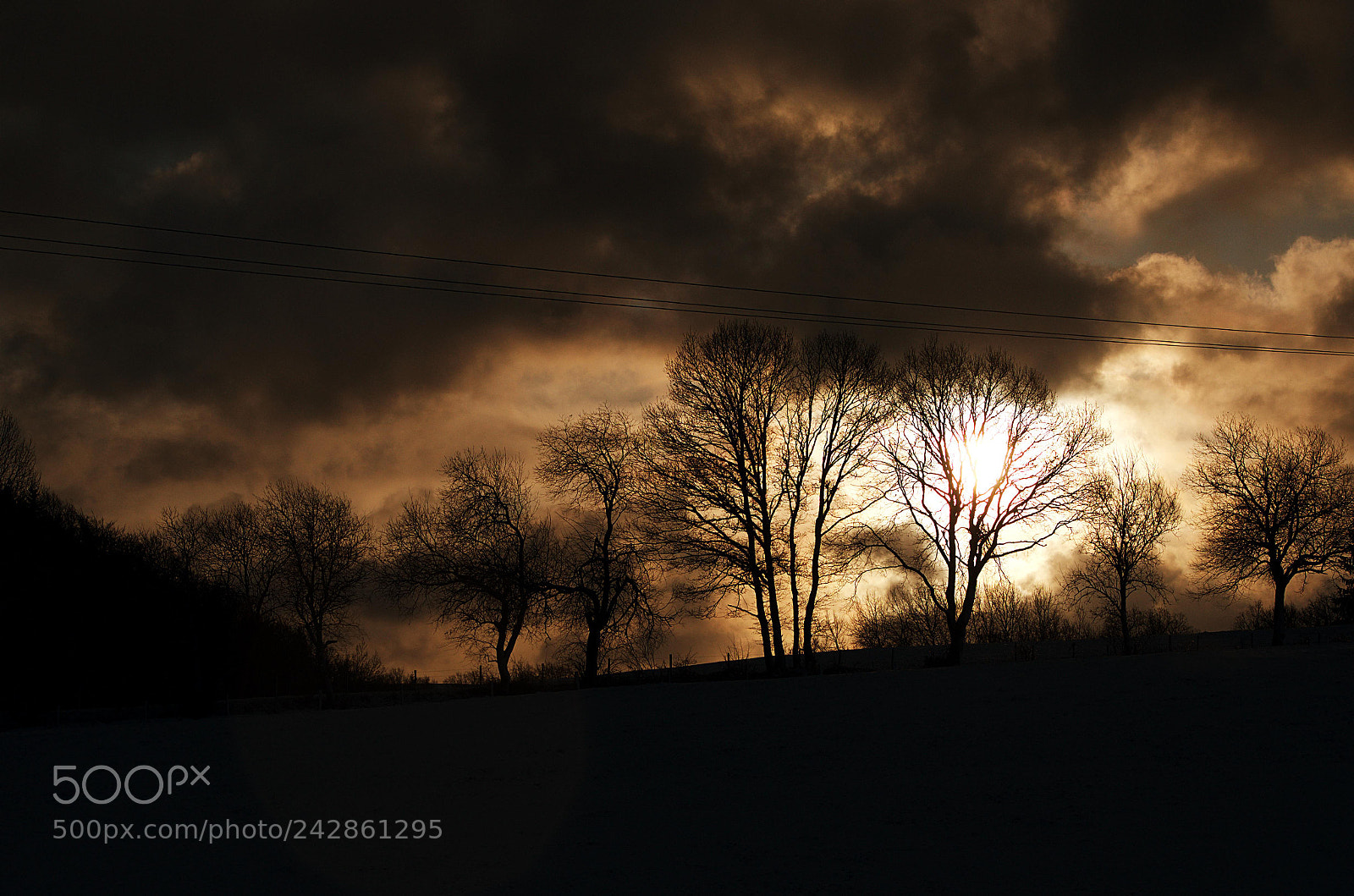 Nikon D5100 sample photo. Cold mornings photography