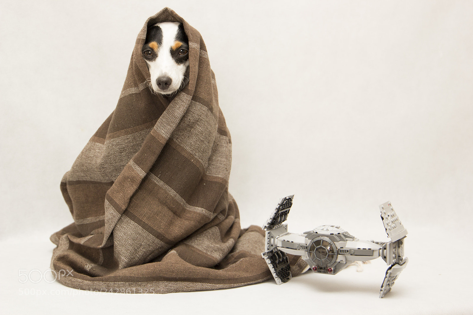 Canon EOS 60D sample photo. Starwars doglovers photography