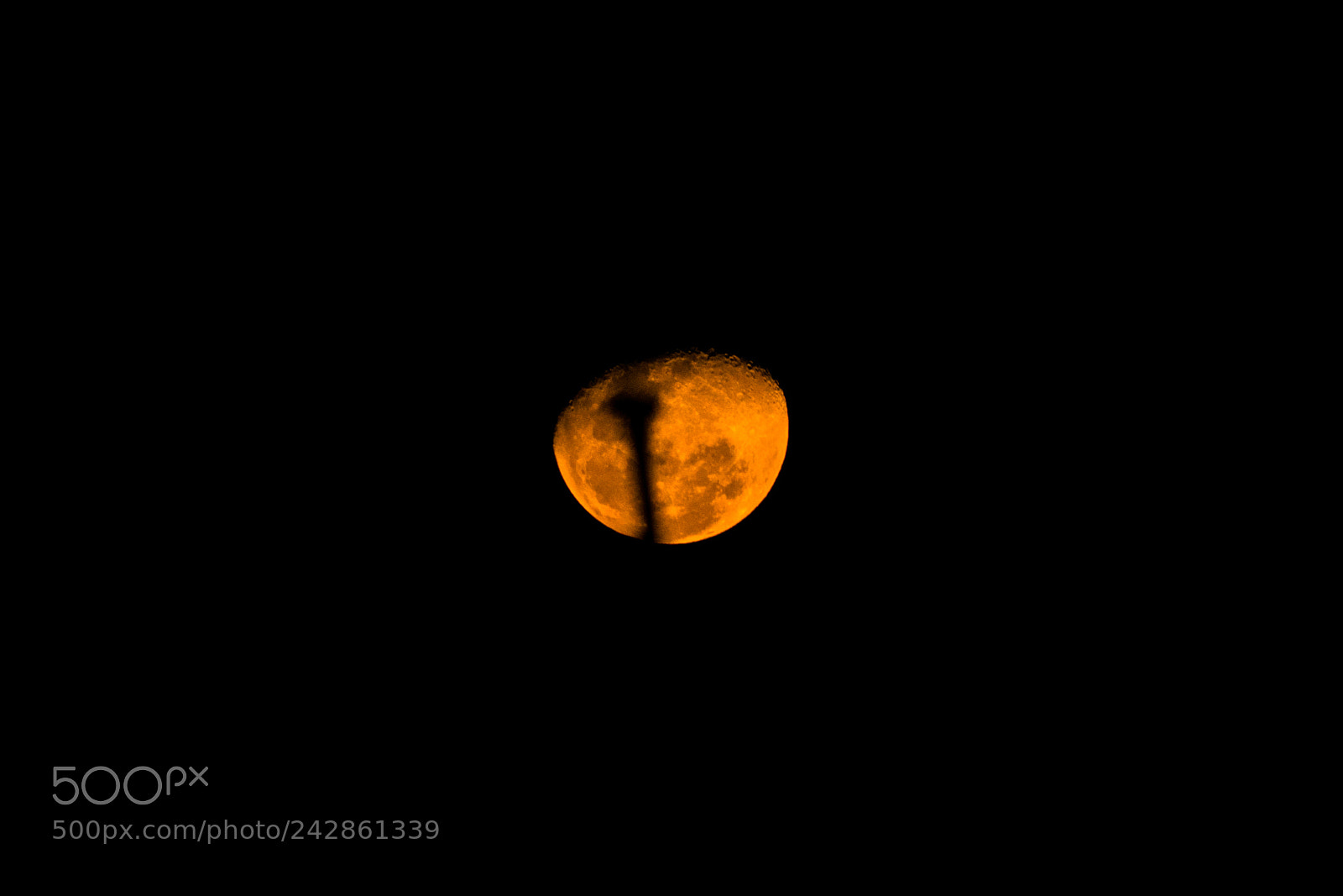 Nikon D3400 sample photo. Moon photography