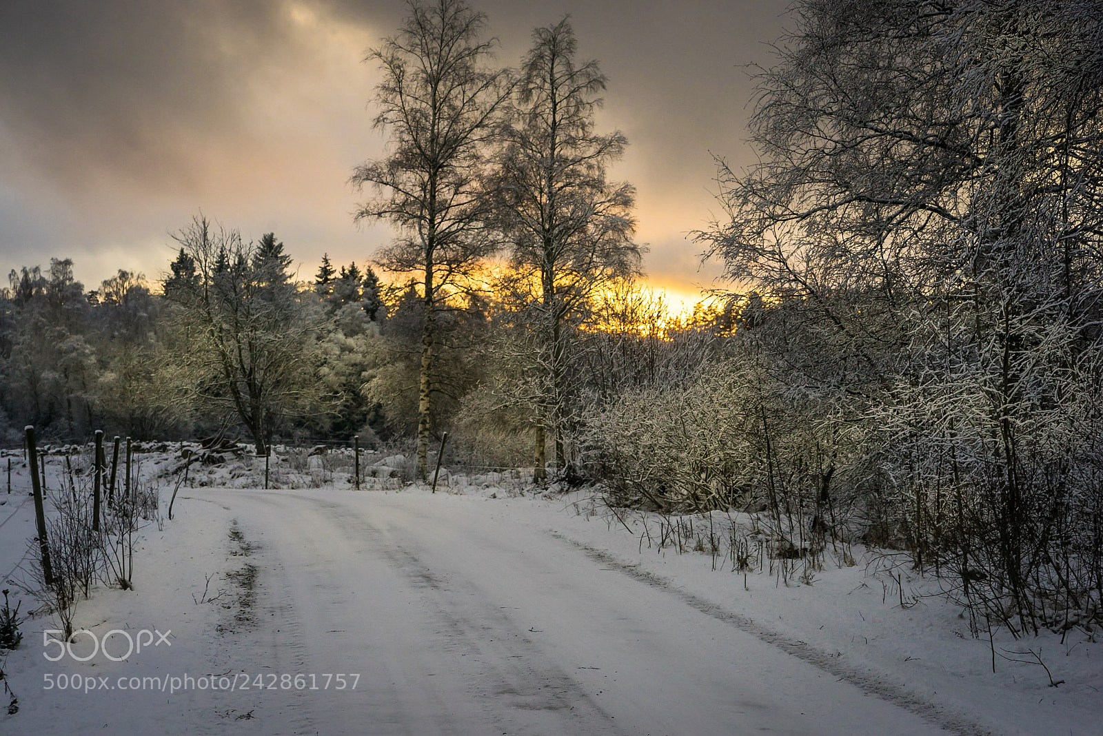 Sony a7R sample photo. Winter 2018 photography