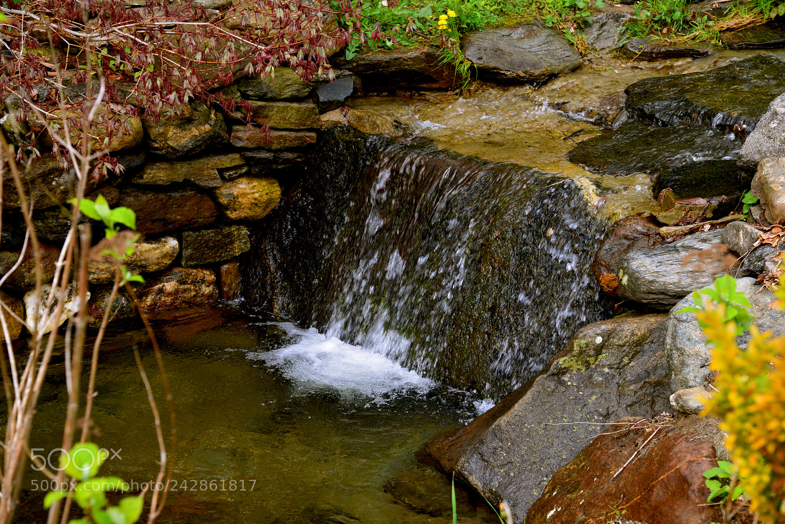 Nikon D600 sample photo. Garden stream photography
