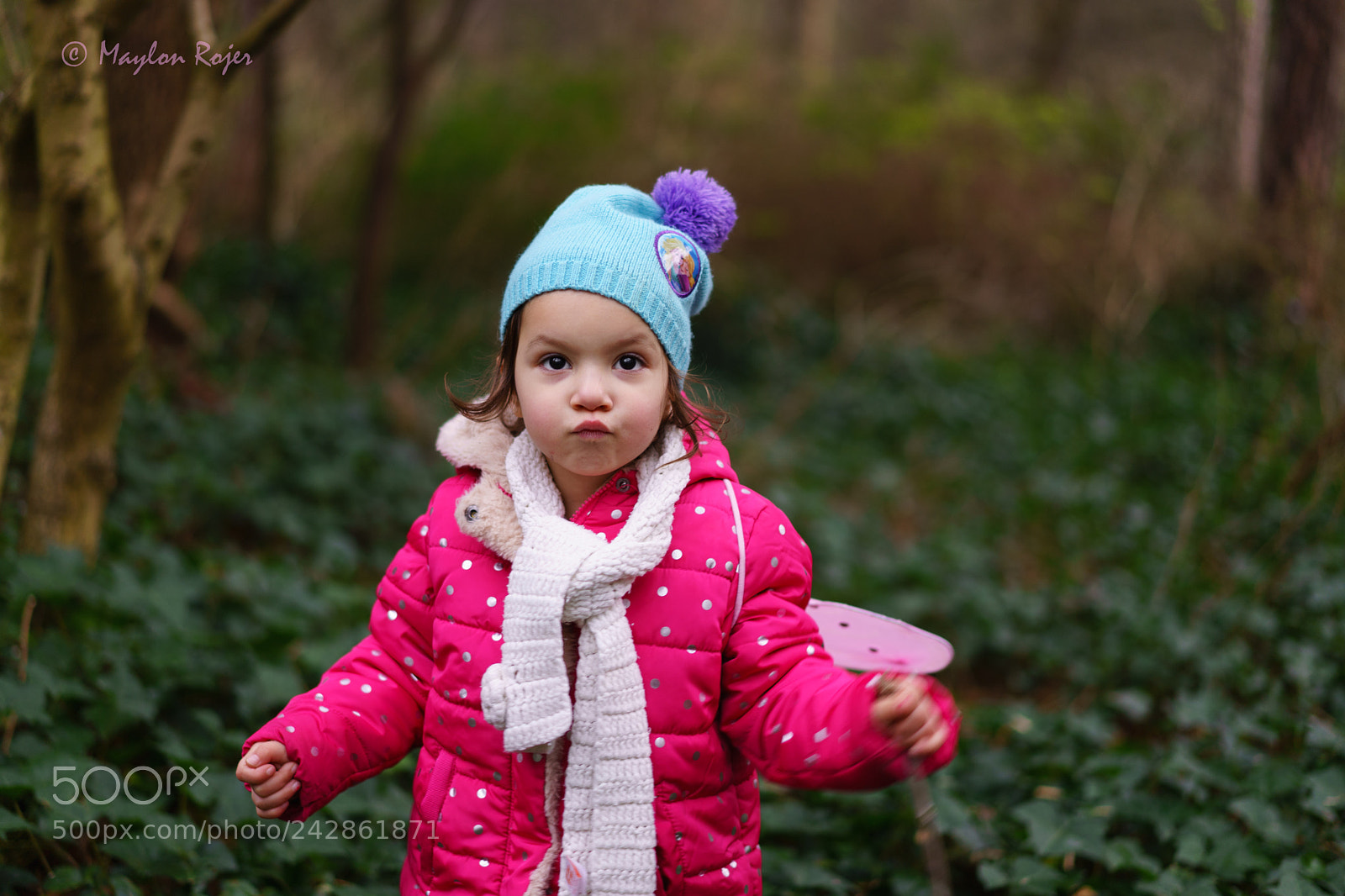 Sony a7 II sample photo. Untitled photography