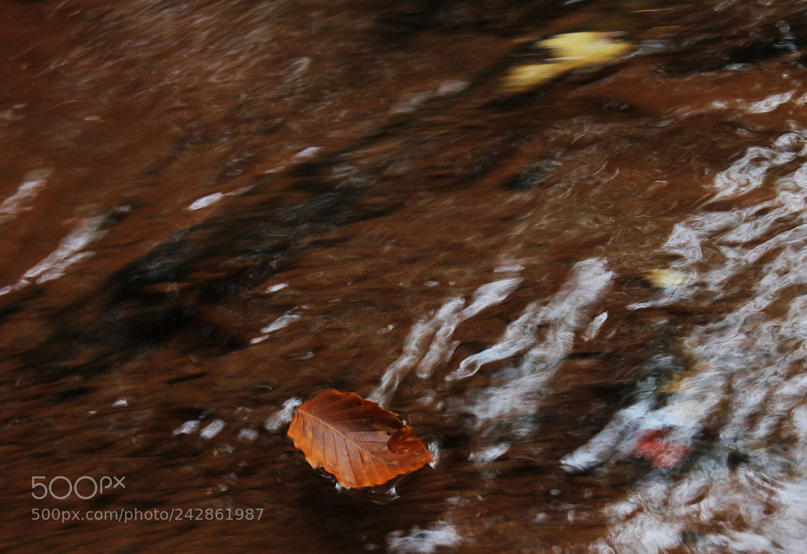 Canon EOS 1100D (EOS Rebel T3 / EOS Kiss X50) sample photo. Floating away photography