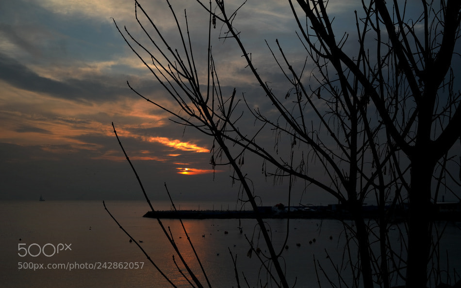 Samsung NX300 sample photo. ... photography