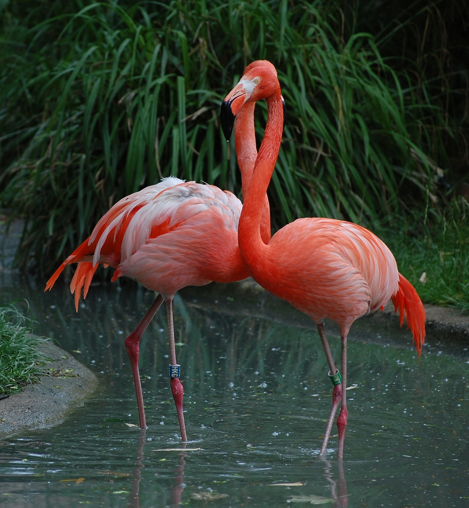 Nikon D40 sample photo. Vienna zoo photography