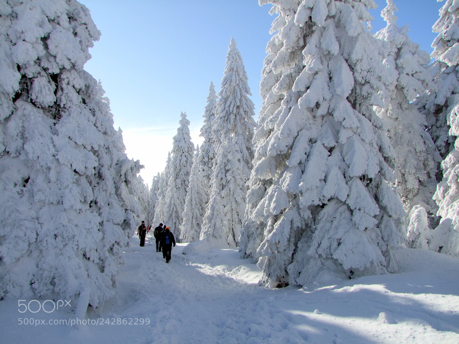 Fujifilm FinePix S100fs sample photo. Hiking in the winter photography