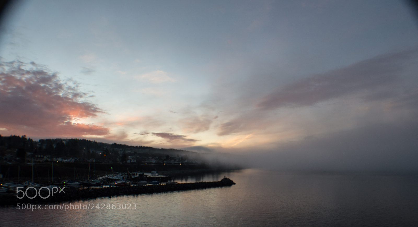 Nikon D3200 sample photo. Misty morning photography