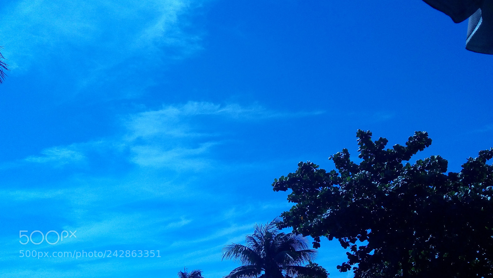 Motorola Moto E4 sample photo. Um pouco da beleza photography