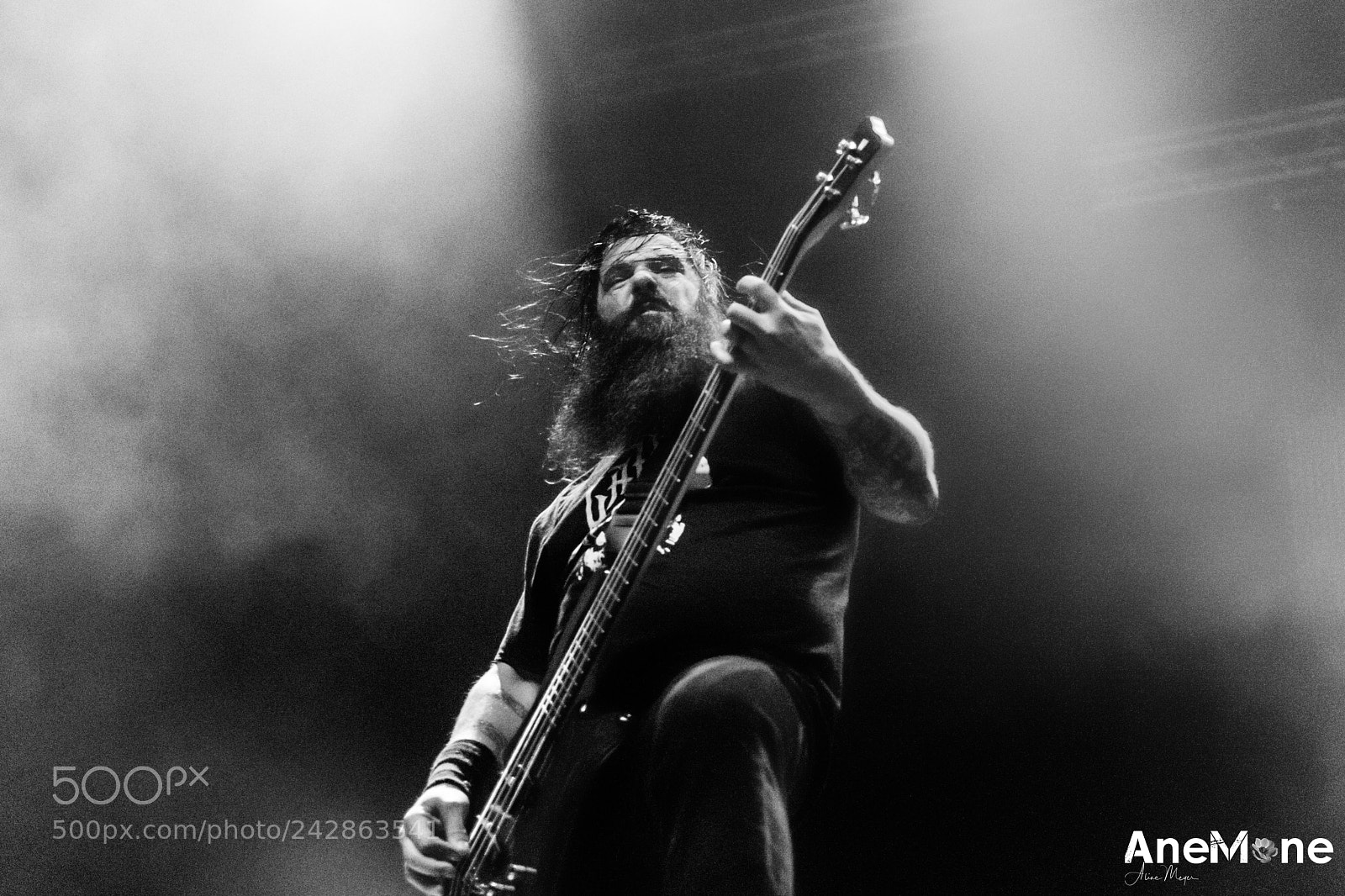 Canon EOS-1D X sample photo. Max iggor cavalera photography