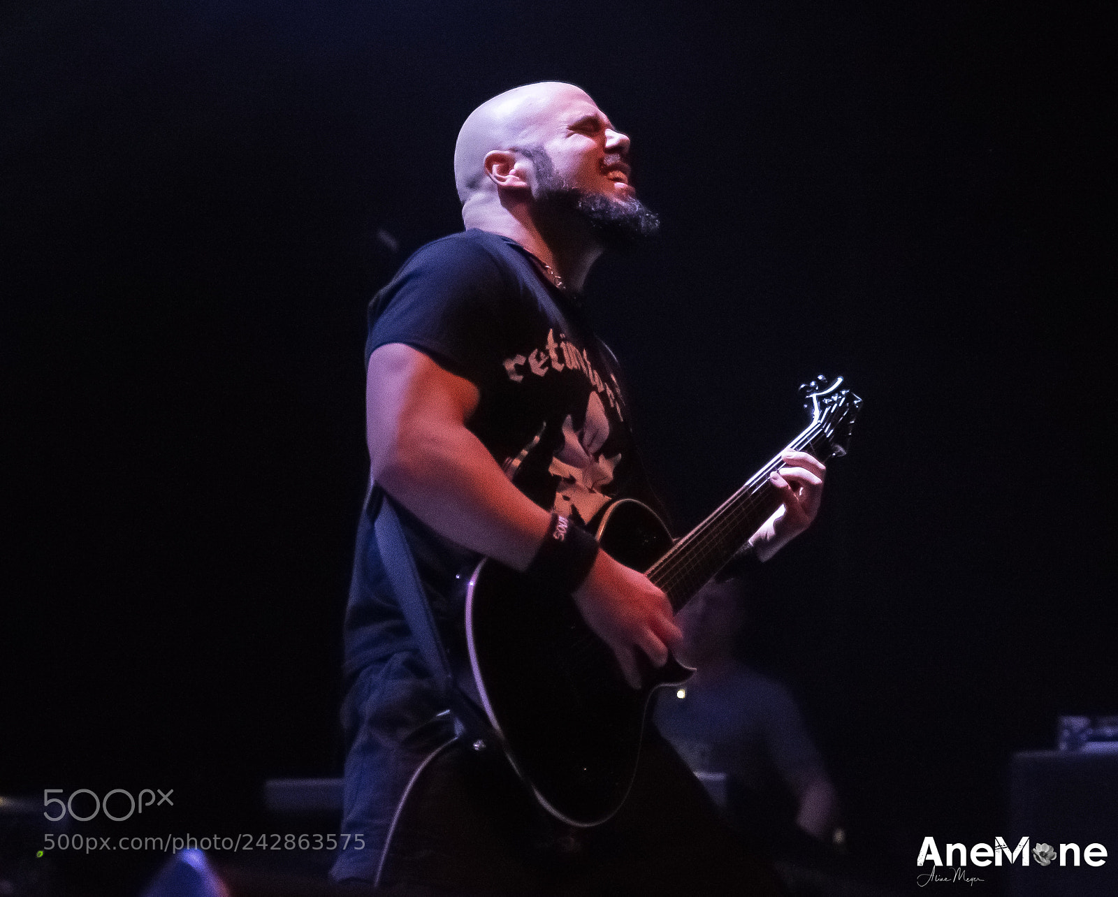 Canon EOS-1D X sample photo. Max iggor cavalera photography
