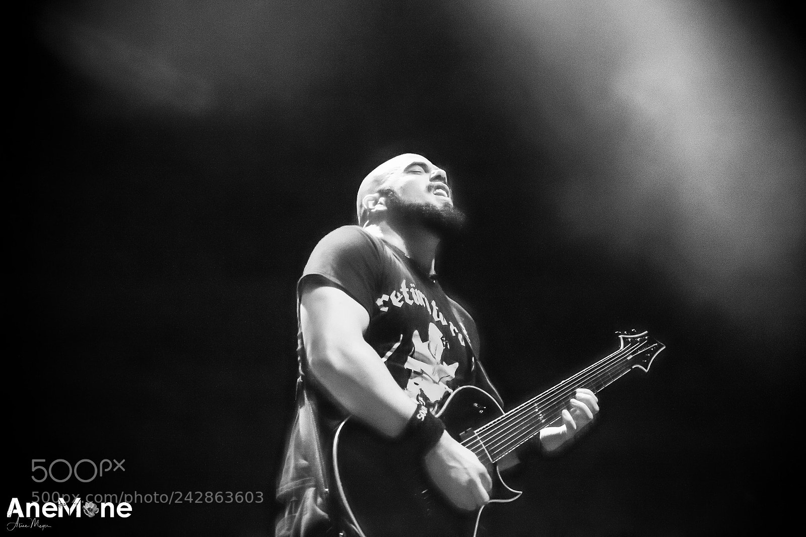 Canon EOS-1D X sample photo. Max iggor cavalera photography