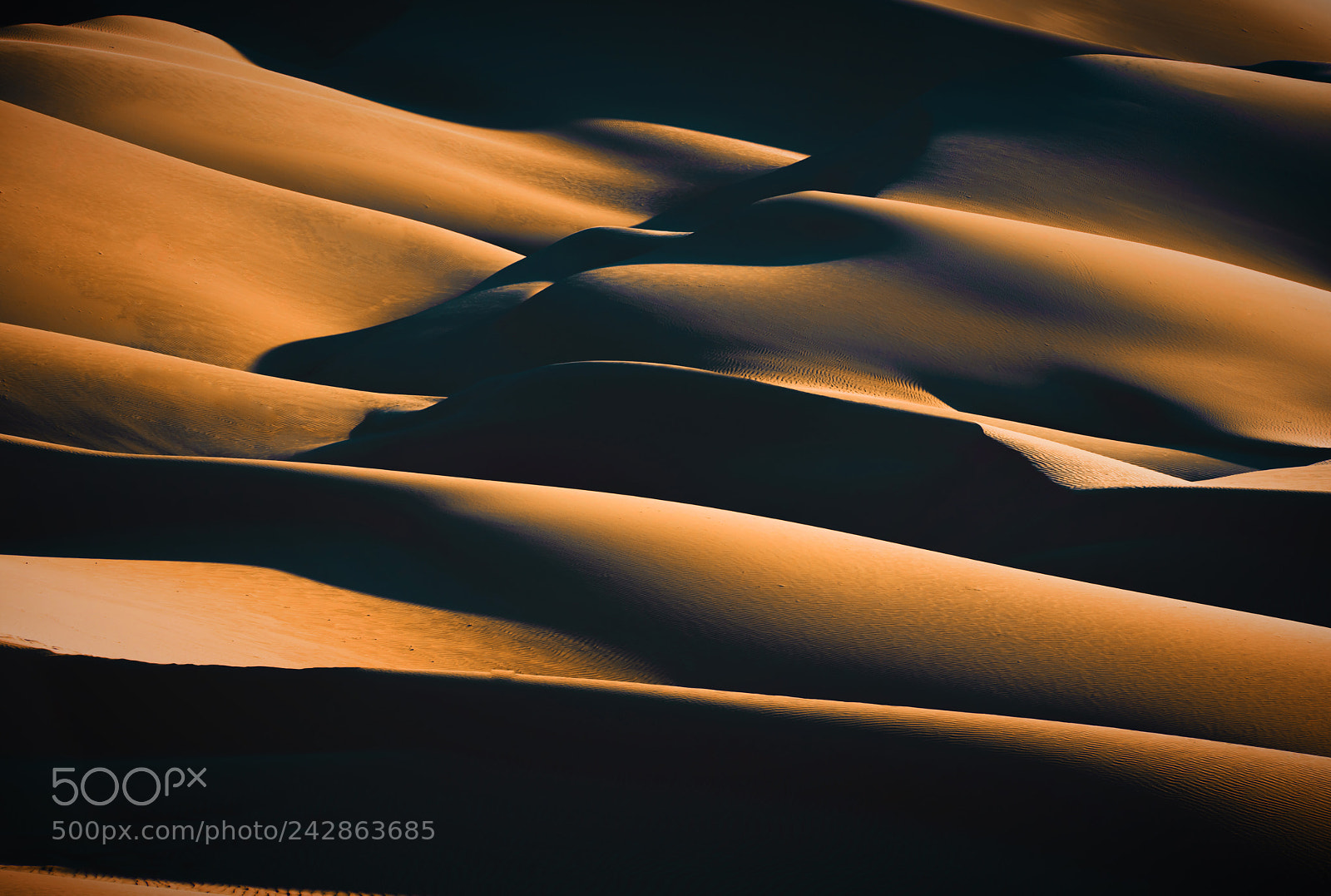 Nikon D850 sample photo. Desert expressions ?? photography