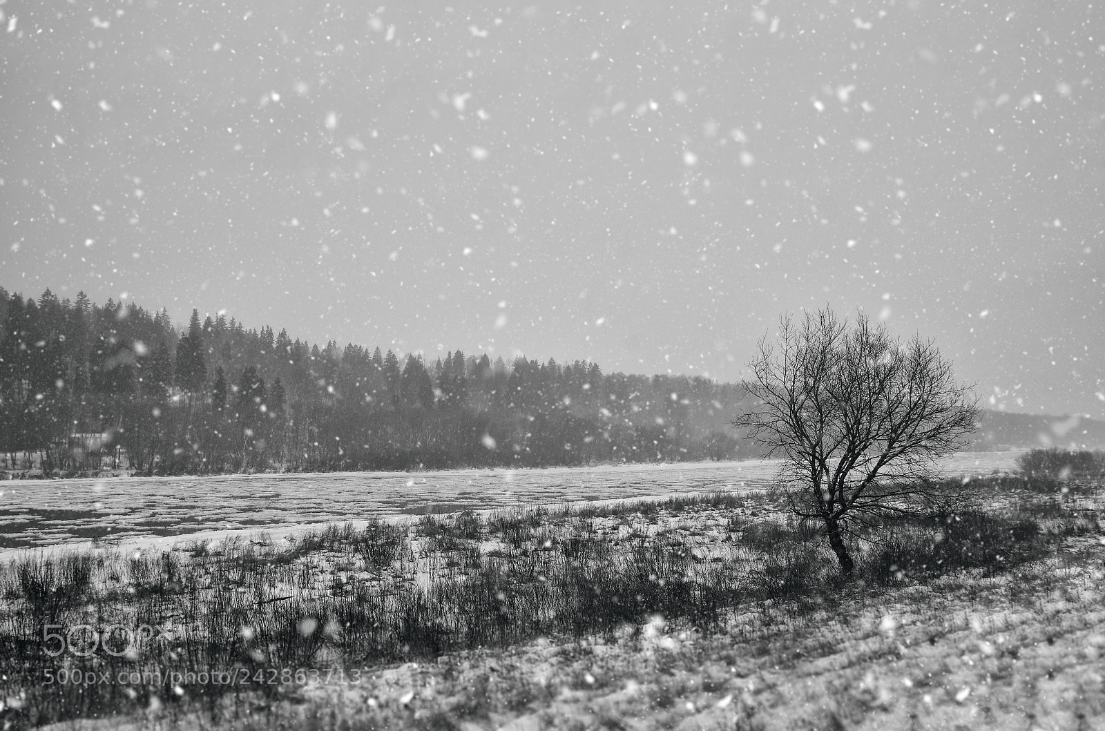 Pentax K-5 II sample photo. Winter scene photography