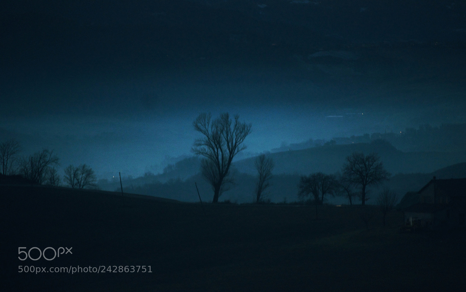 Nikon D5000 sample photo. Blue photography