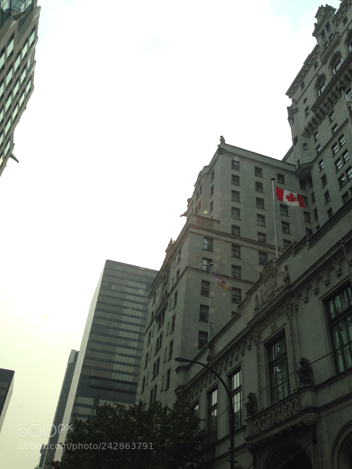 Apple iPhone 5 sample photo. Looking up photography