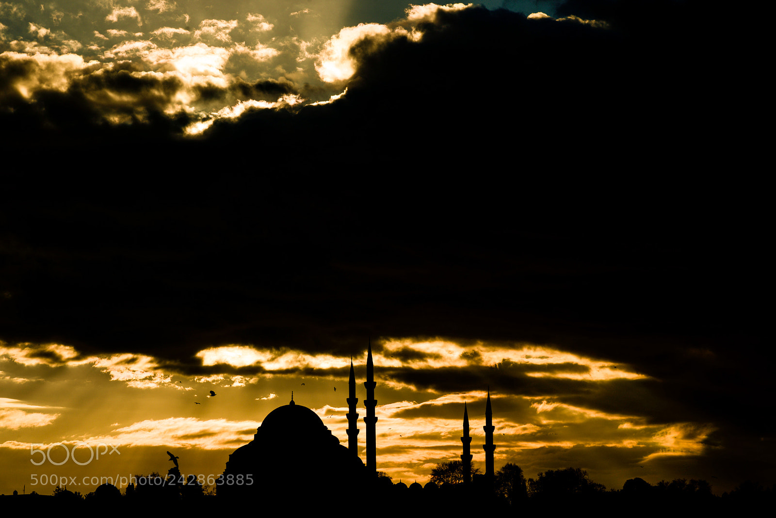 Nikon D610 sample photo. Golden hour time in photography