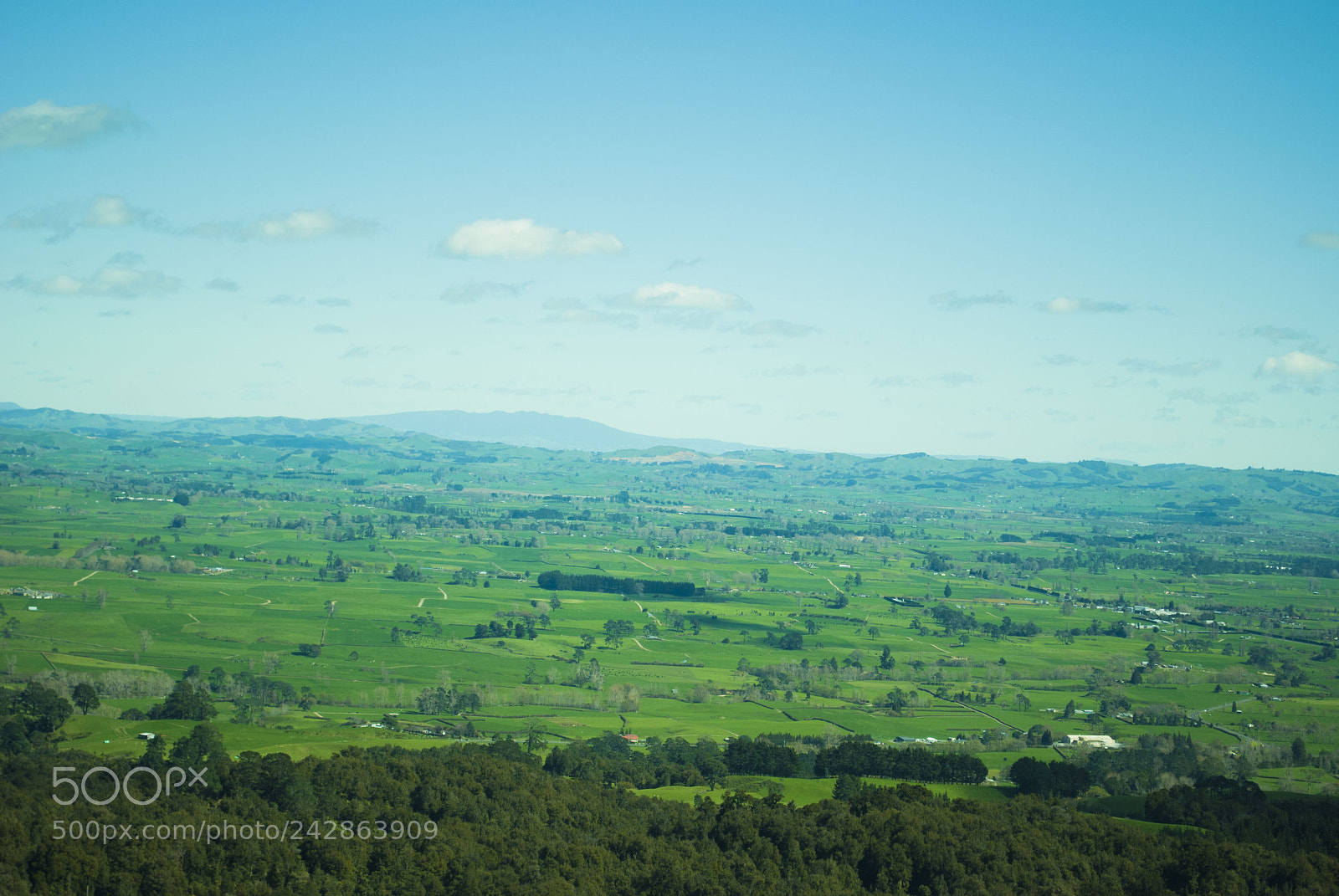Nikon D3000 sample photo. The waikato photography