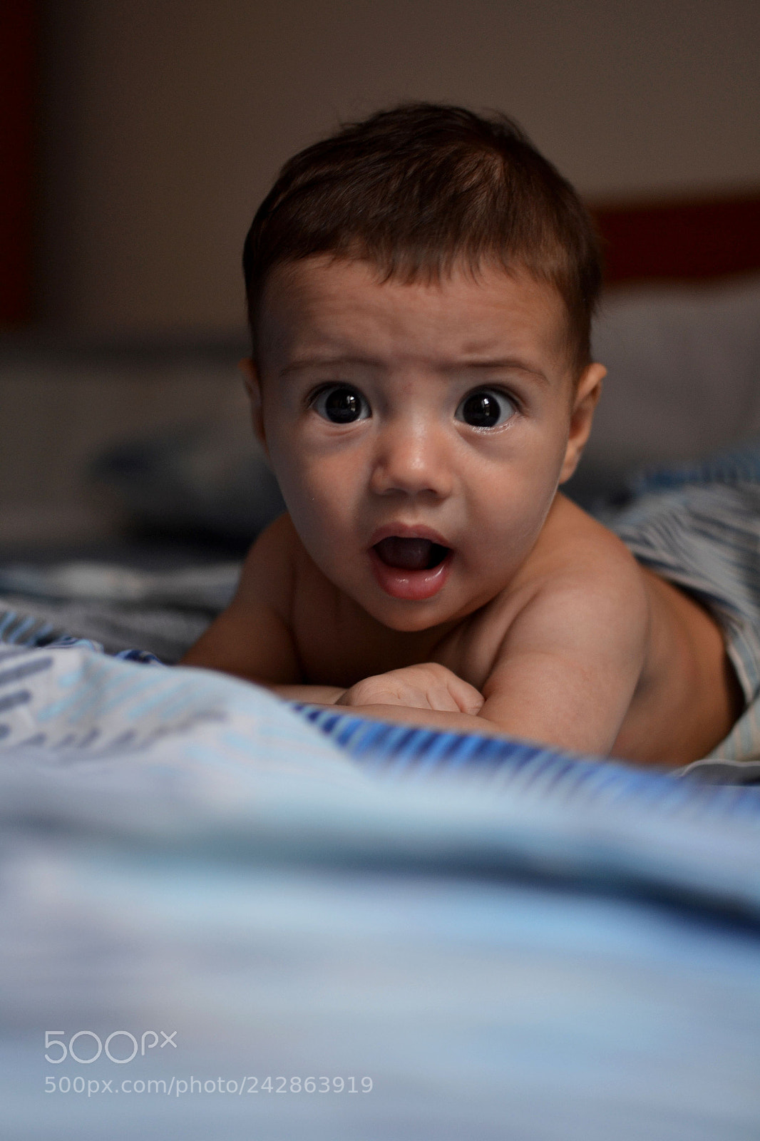 Nikon D3100 + Nikon AF-S DX Nikkor 35mm F1.8G sample photo. Mattia photography