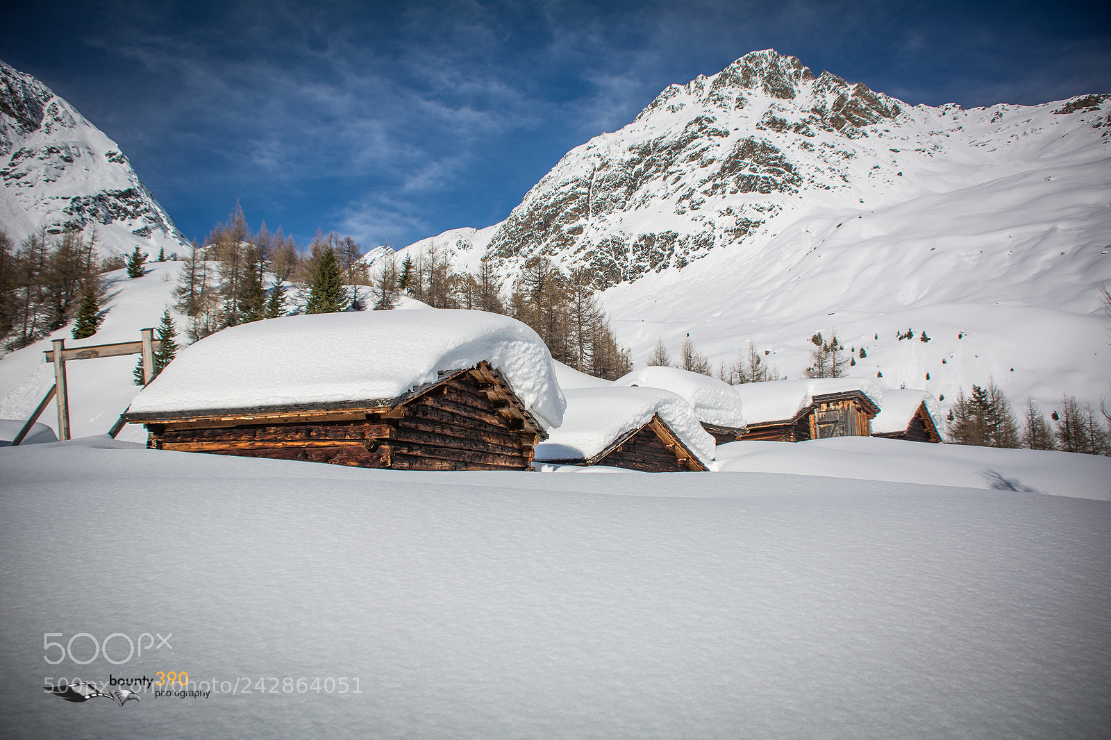 Nikon D7100 sample photo. Lonely in the snow photography