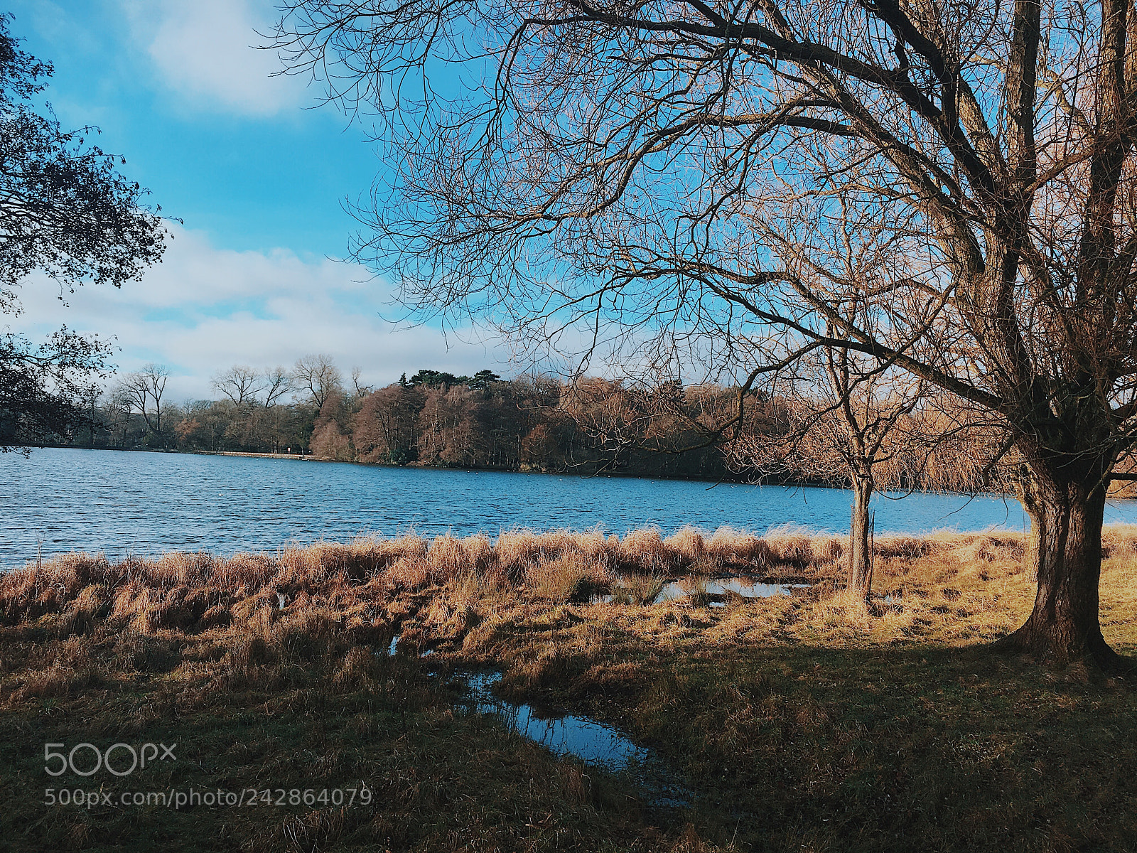 Apple iPhone 6s sample photo. Woolaton hall - nottingham photography