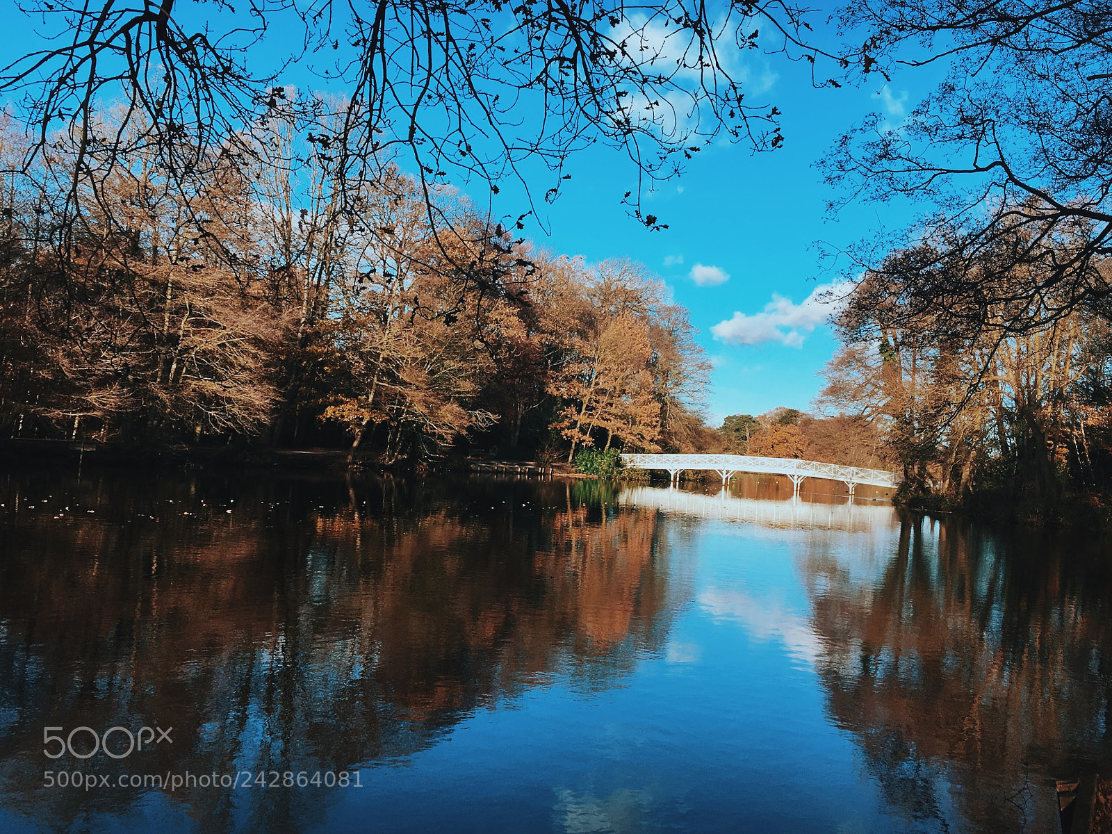 Apple iPhone 6s sample photo. Harthsholme park - lincoln photography