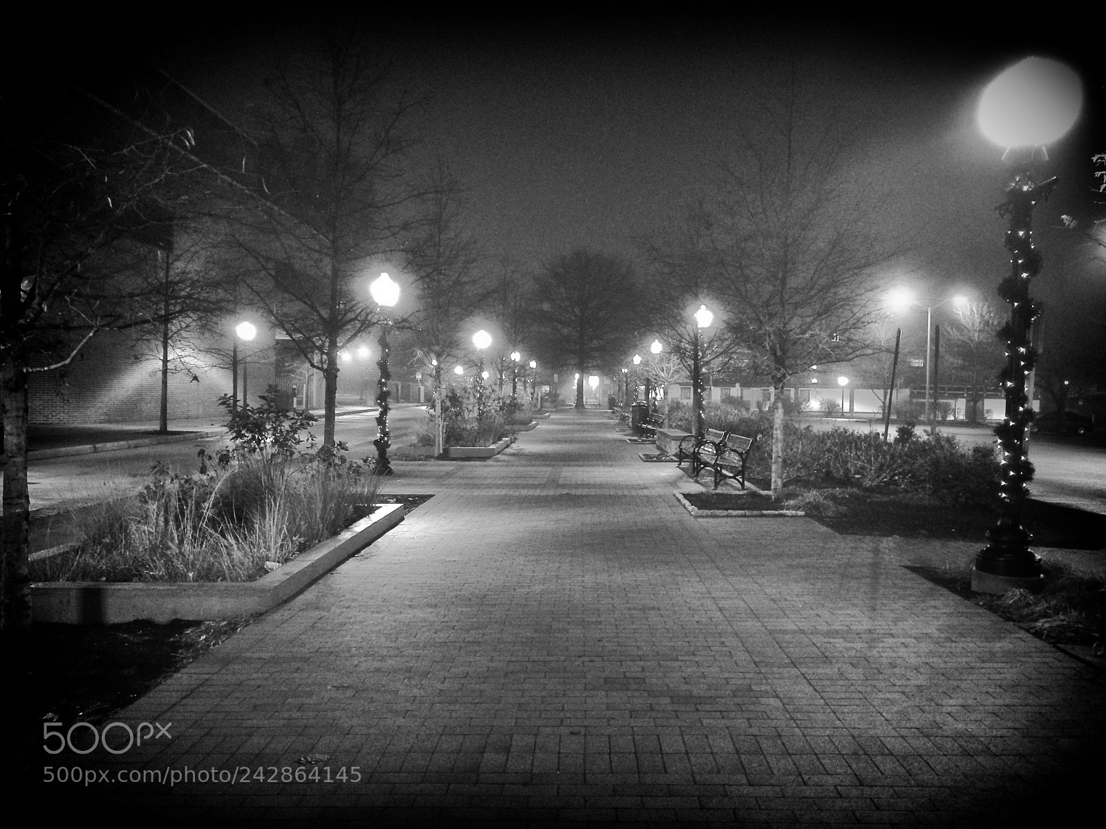 Apple iPhone 5s sample photo. Blacksburg christmas 2016 photography