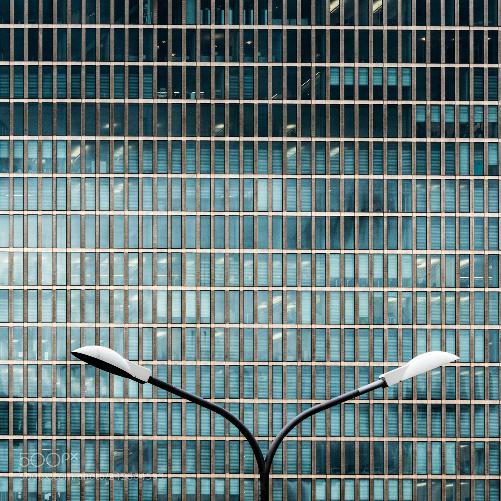 Nikon D810 sample photo. Brave new world... photography