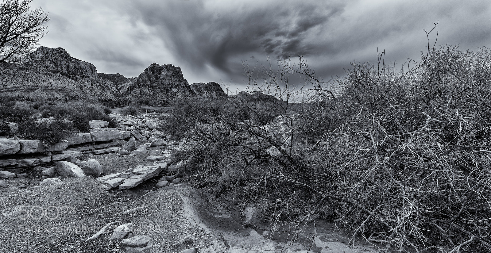 Sony a7 sample photo. Desert winter photography