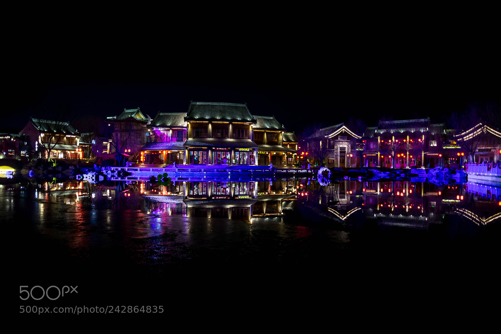 Nikon D610 sample photo. Reflections in dark water photography