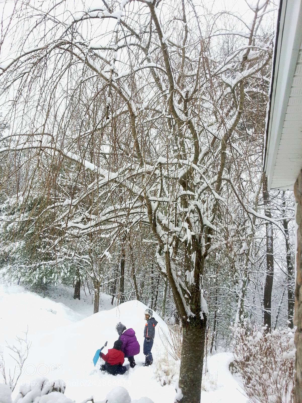 Samsung Galaxy S3 sample photo. Just another snow day! photography