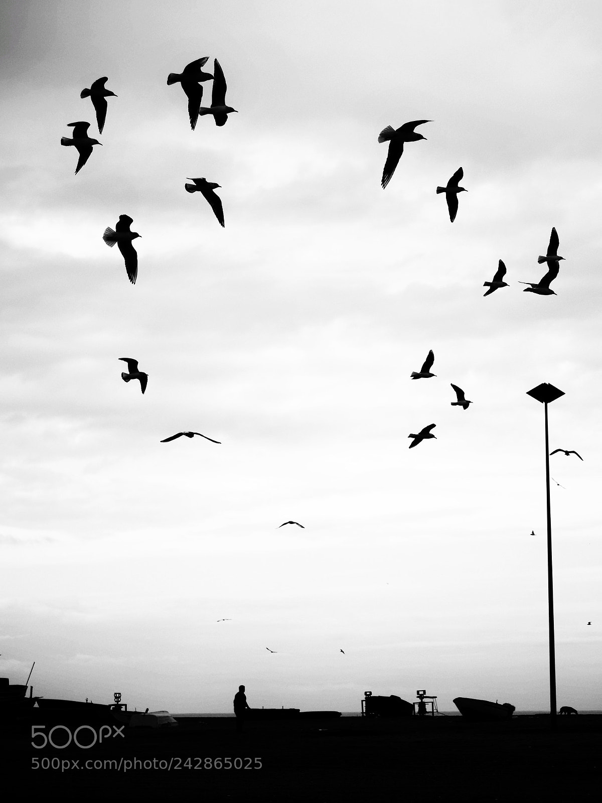 Olympus OM-D E-M1 Mark II sample photo. Shadows photography