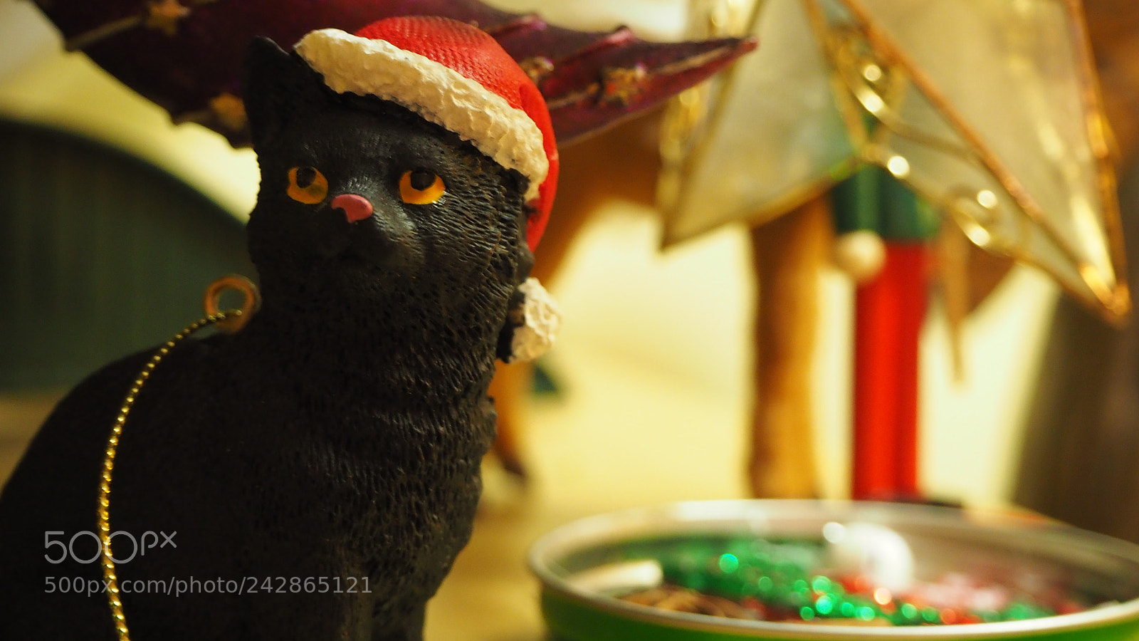 Olympus OM-D E-M10 III sample photo. Holiday cat photography