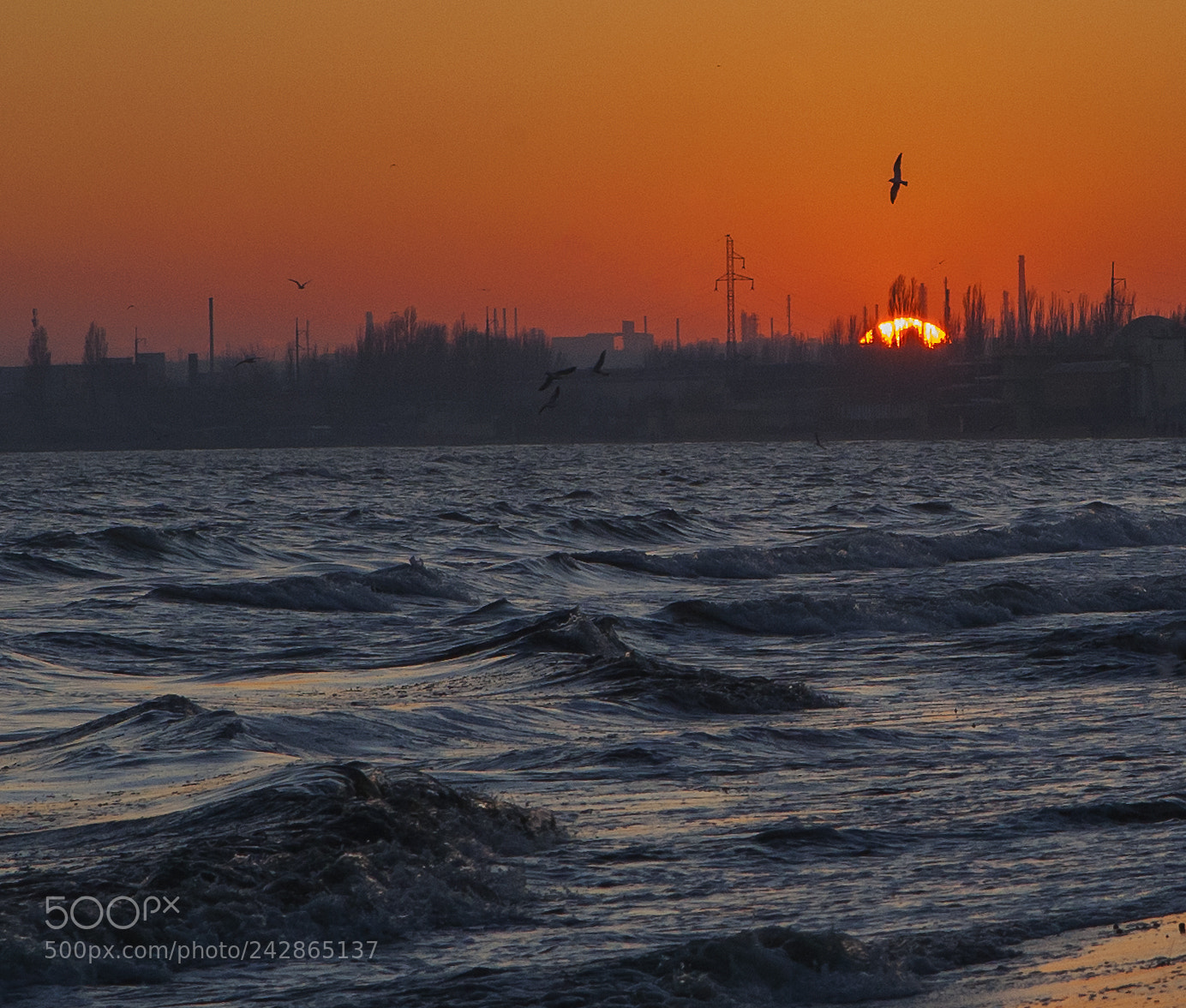 Canon EOS 5D sample photo. Untitled photography