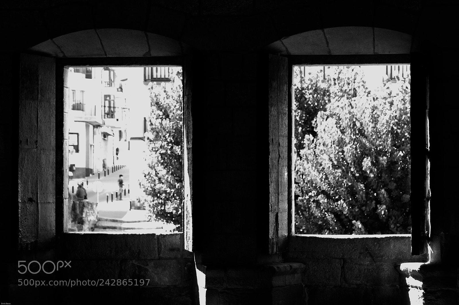 Nikon D5000 sample photo. Windows photography