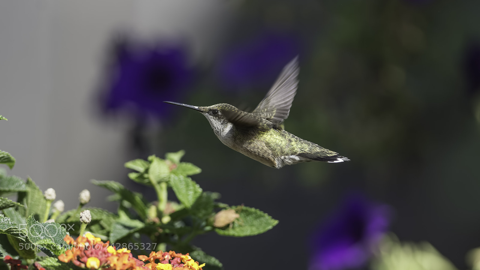 Nikon D7100 sample photo. Watch out for that photography
