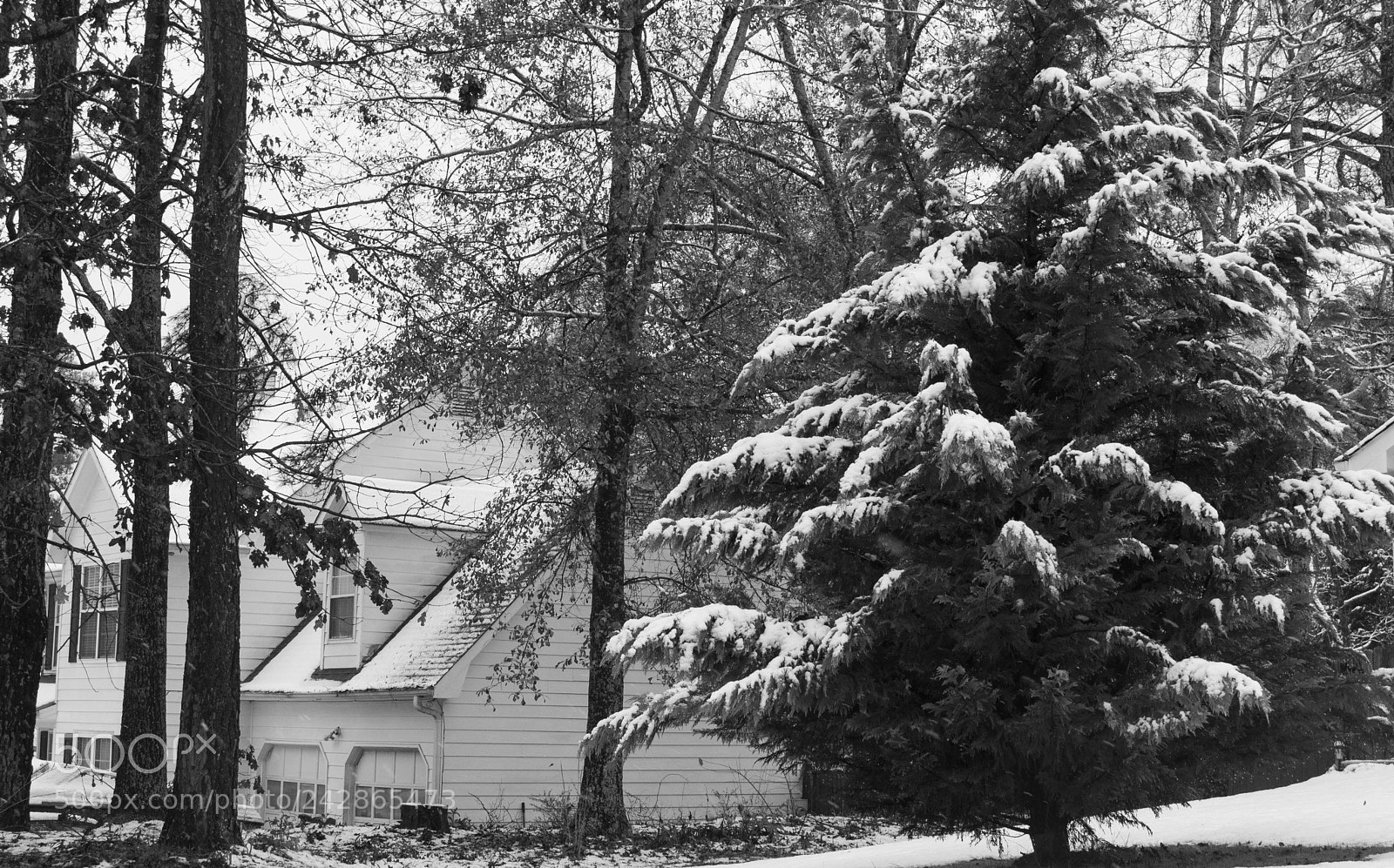 Nikon D3200 sample photo. Winter and snow in photography