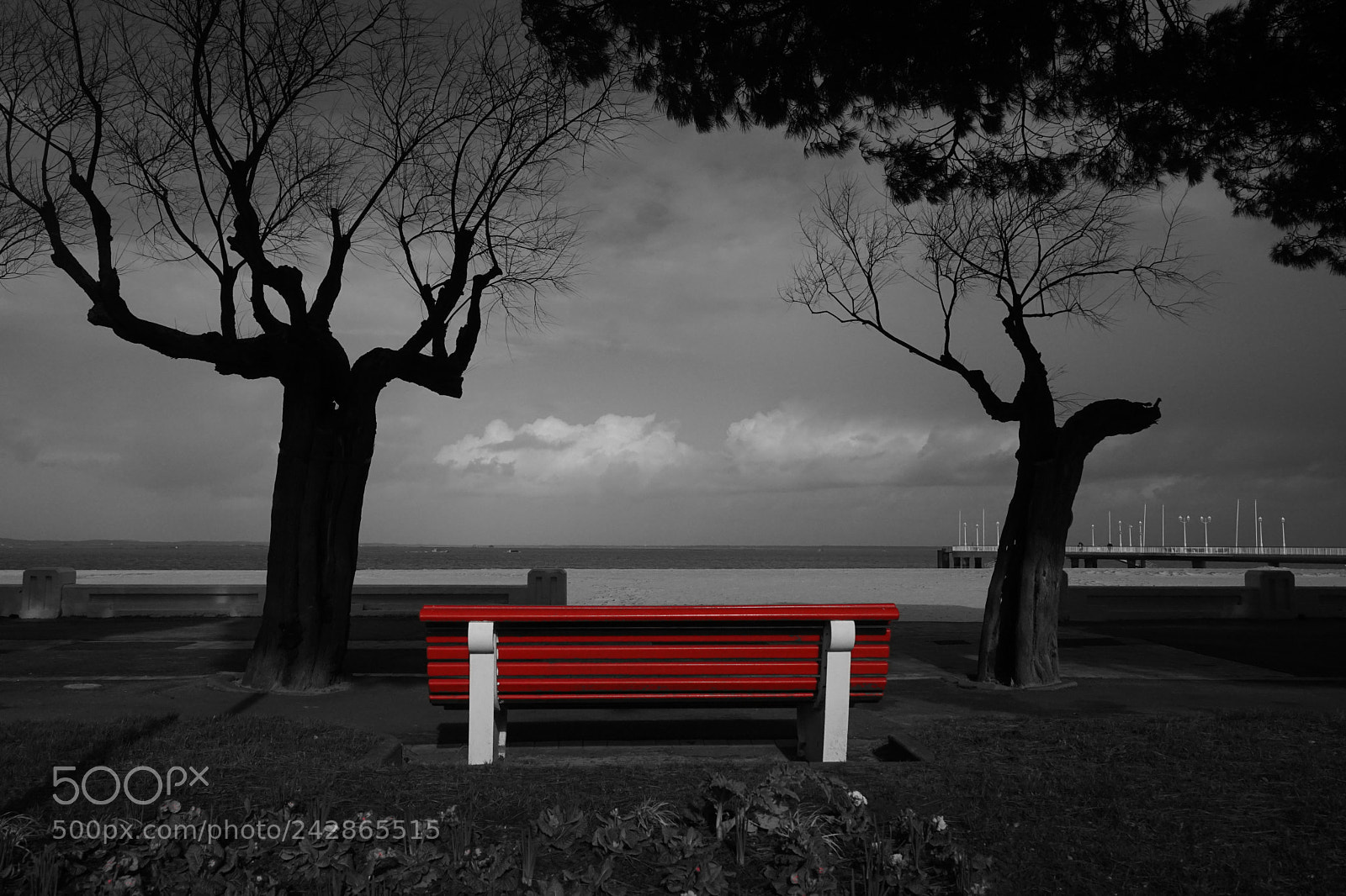 Sony a7 sample photo. Just have a sit photography