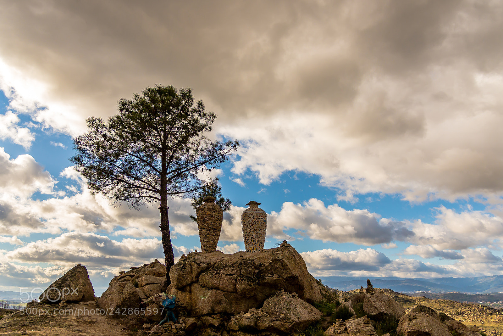 Nikon D610 sample photo. Lonely tree photography