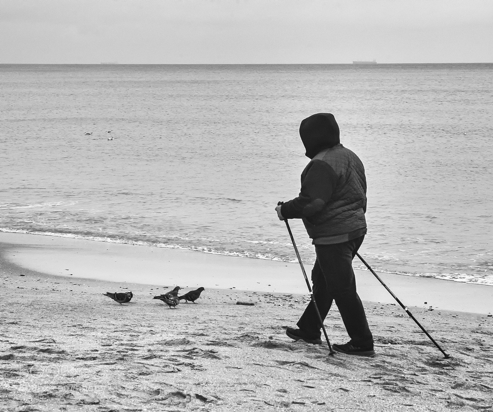 Canon EOS 5D sample photo. Untitled photography