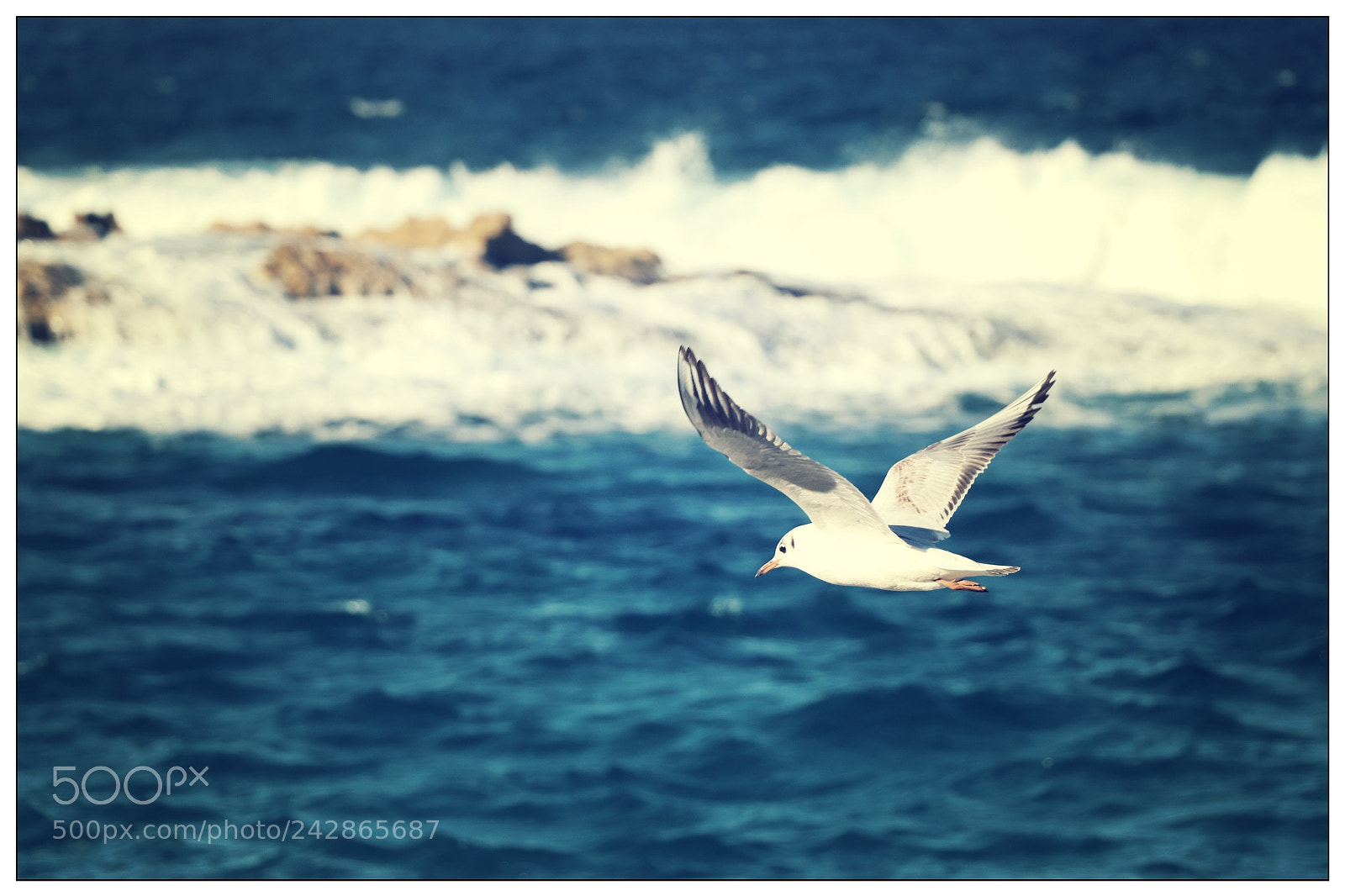Canon EOS 77D (EOS 9000D / EOS 770D) sample photo. Untitled photography