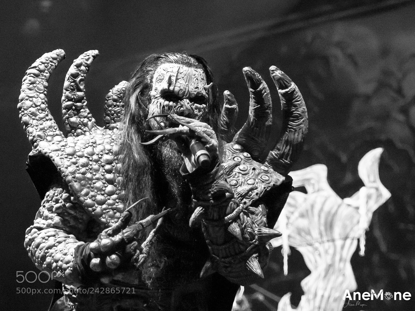 Canon EOS-1D X sample photo. Lordi photography