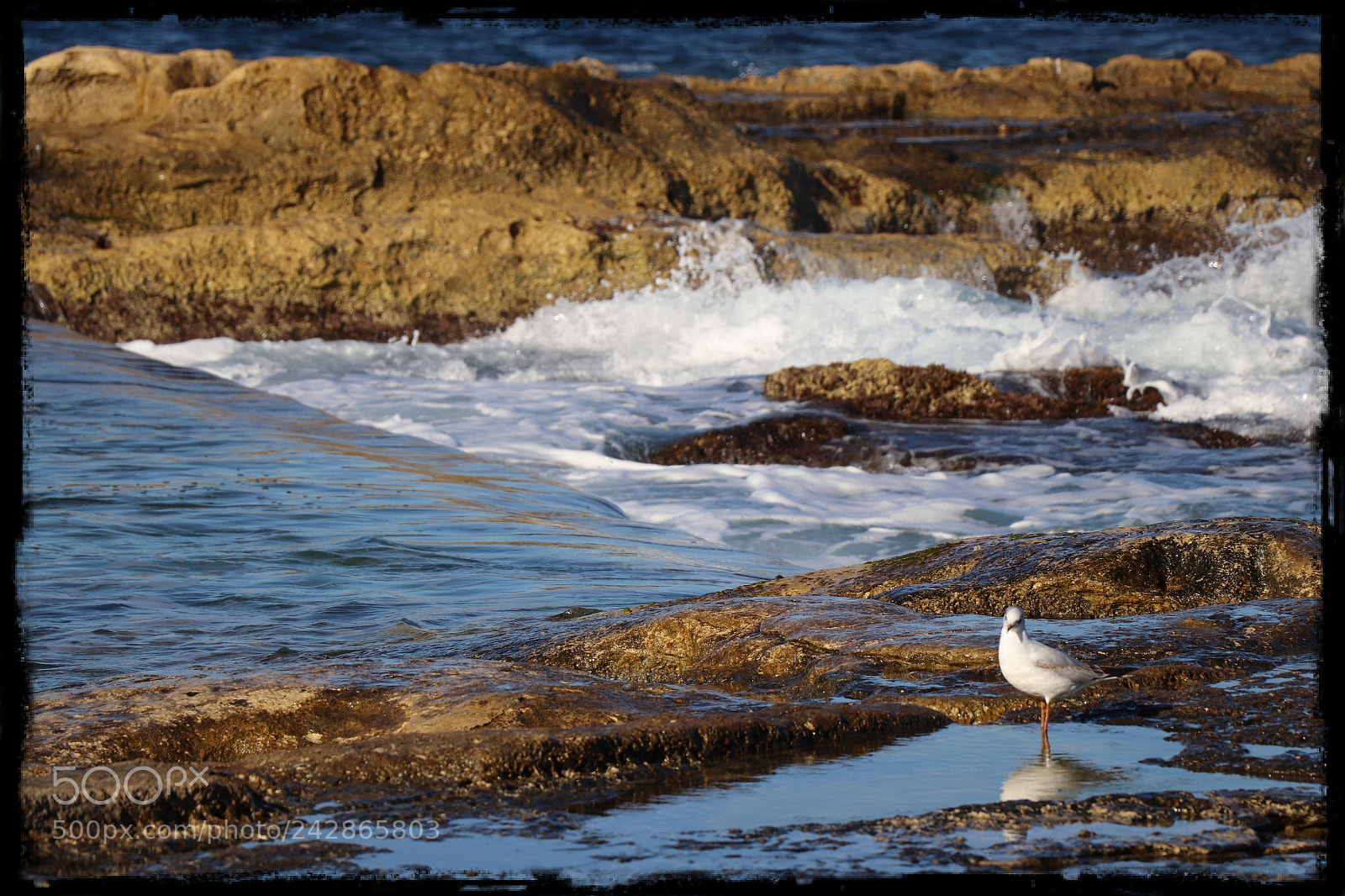 Canon EOS 77D (EOS 9000D / EOS 770D) sample photo. Untitled photography