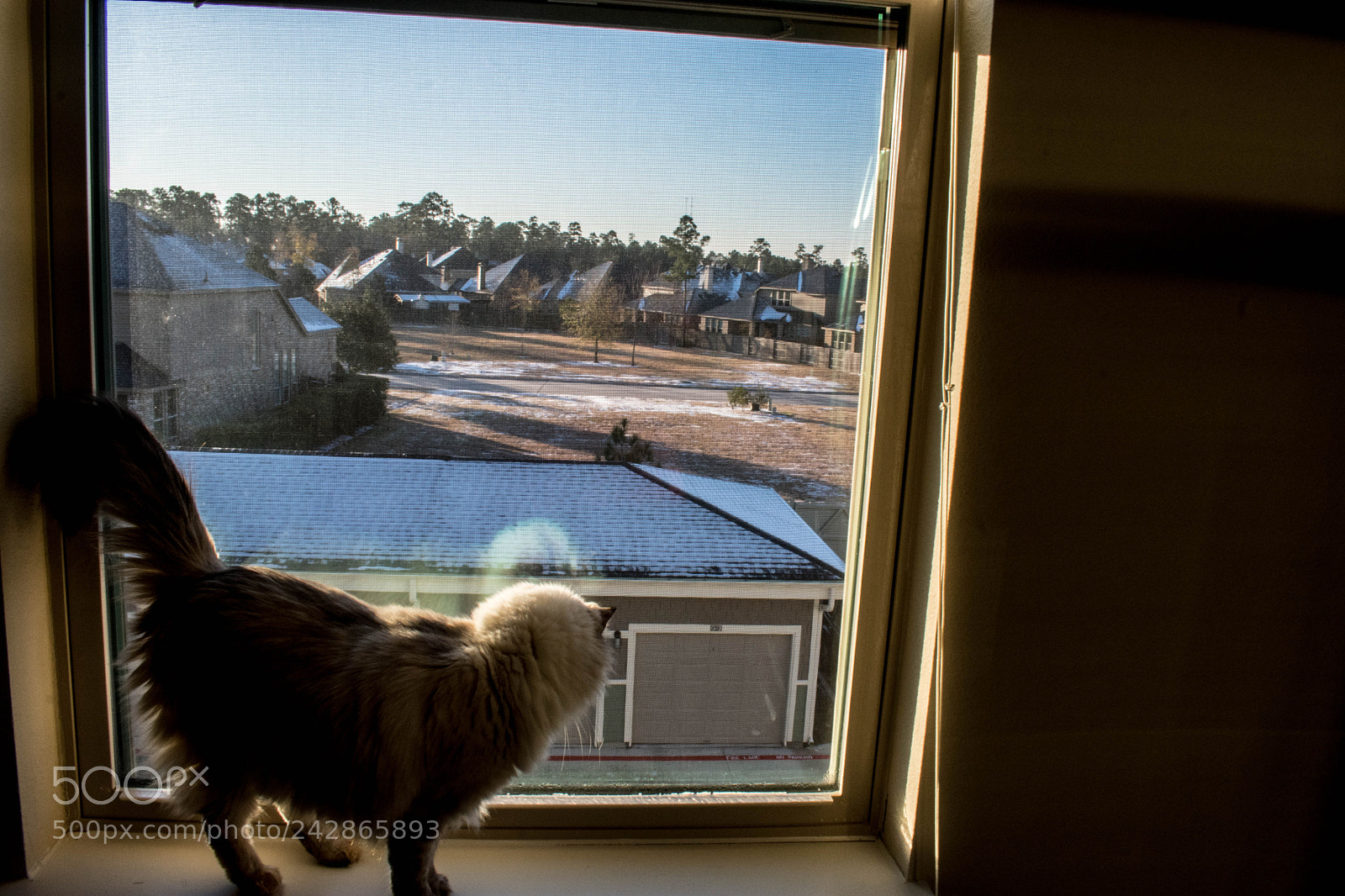 Nikon D3400 sample photo. I want to go photography