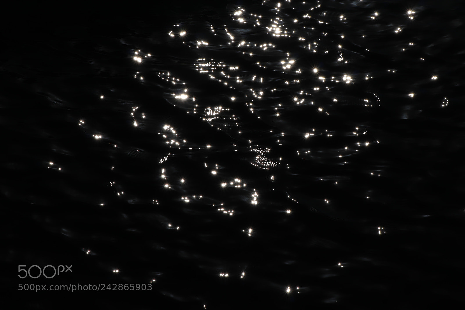 Canon EOS 77D (EOS 9000D / EOS 770D) sample photo. Untitled photography