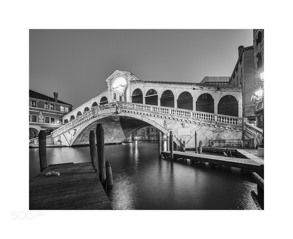 Nikon D4 sample photo. Rialto bridge mono photography